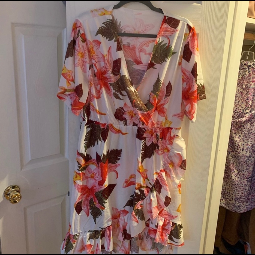 Super cute and flirty plus size dress.